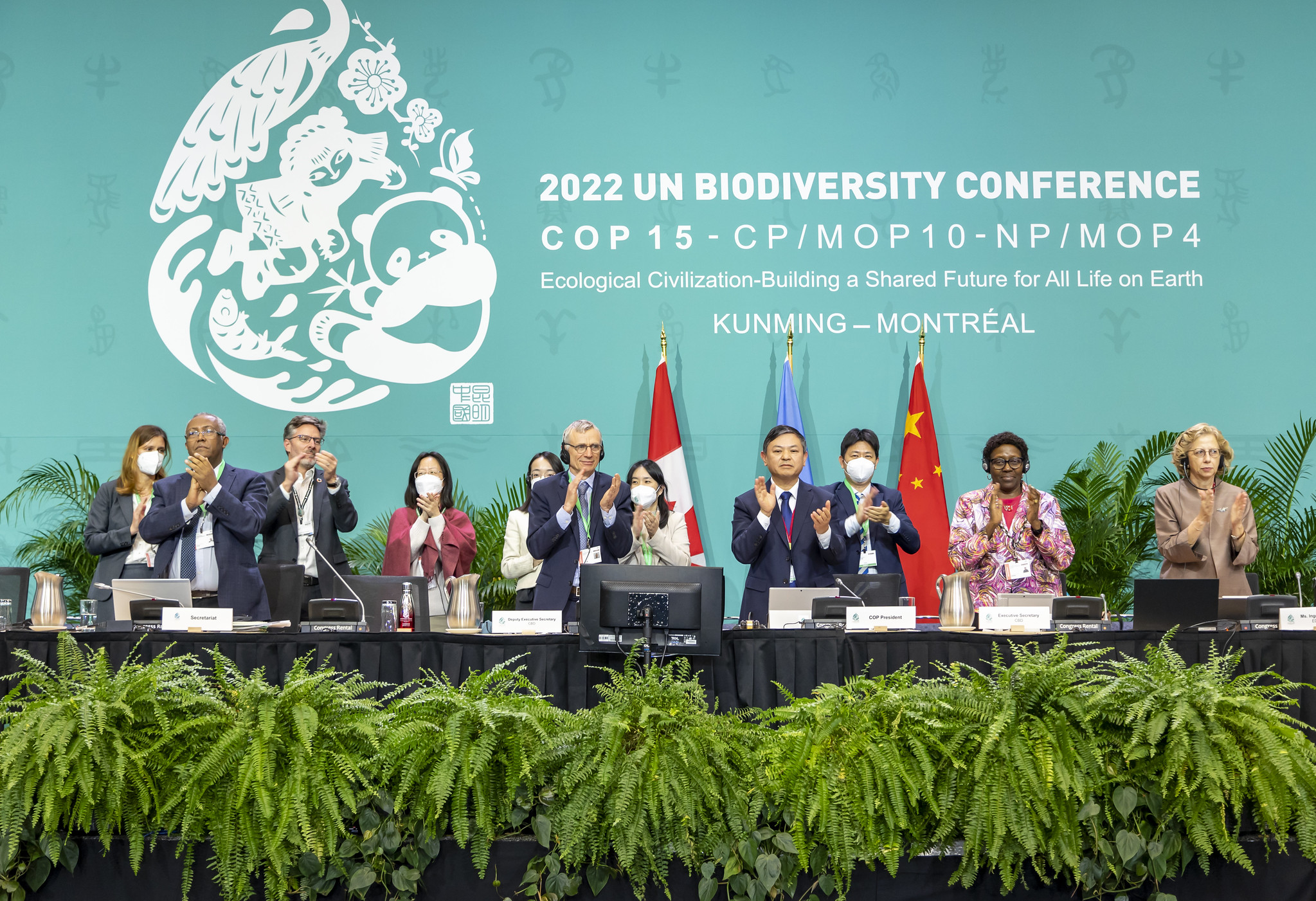 COP15: New global deal for nature agreed
